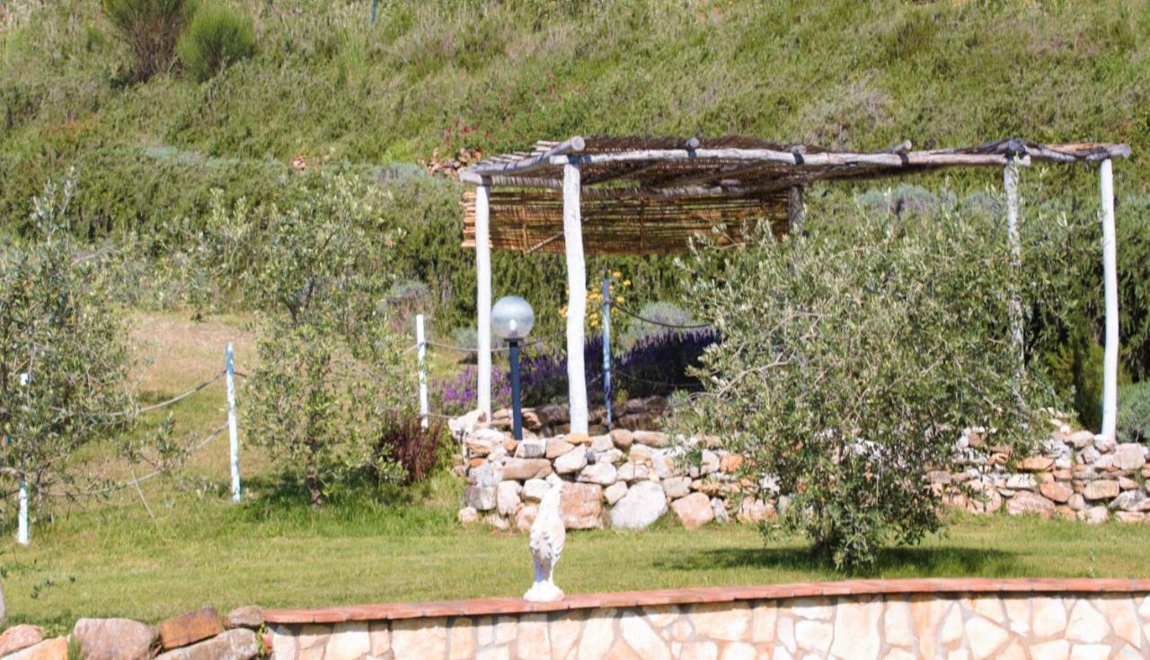 Montenero  Mulino Della Rivoltaヴィラ エクステリア 写真